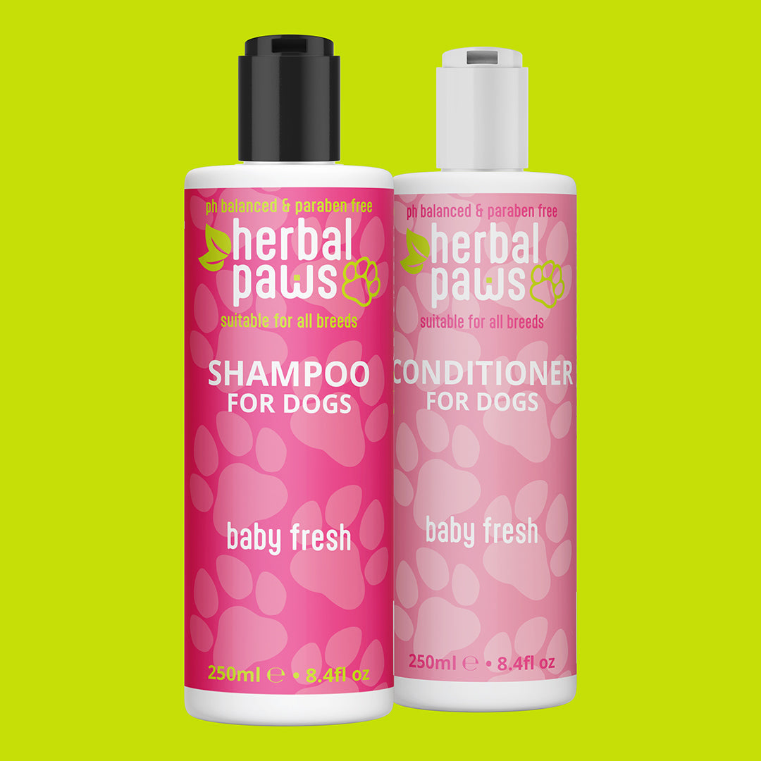 Keep Your Dog’s Coat Fresh, Soft, and Healthy with Herbal Paws’ Baby Fresh Shampoo & Conditioner