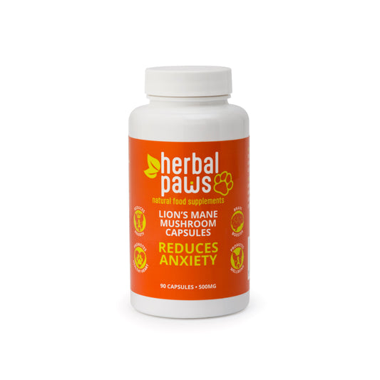 Dog Lion's Mane Mushroom Capsules