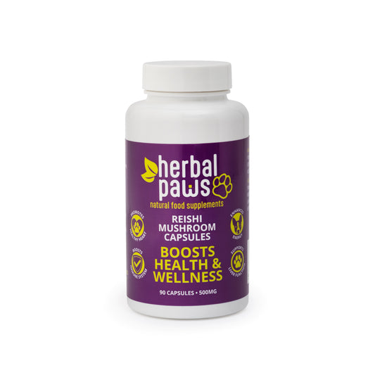 Dog Reishi Mushroom Capsules