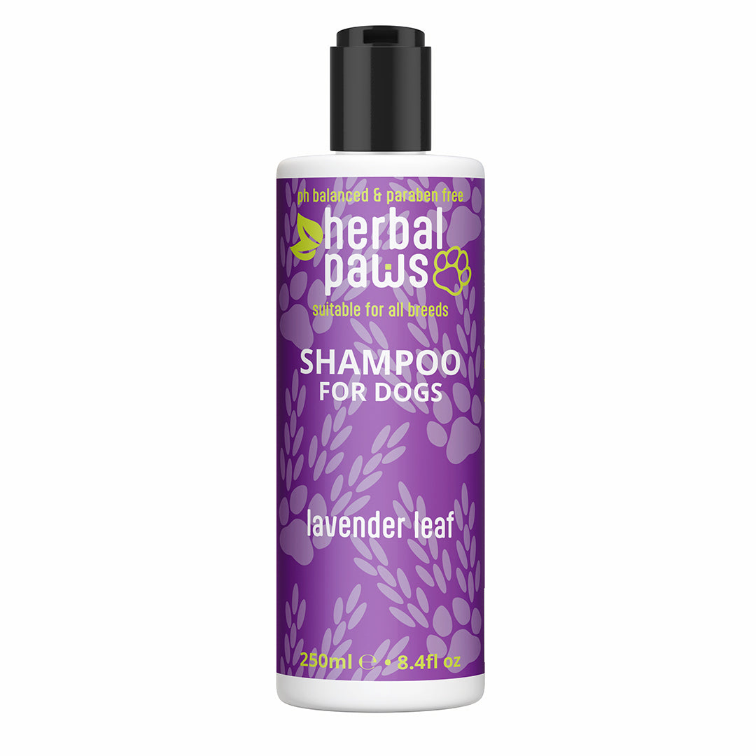 Dog Lavender Leaf Shampoo