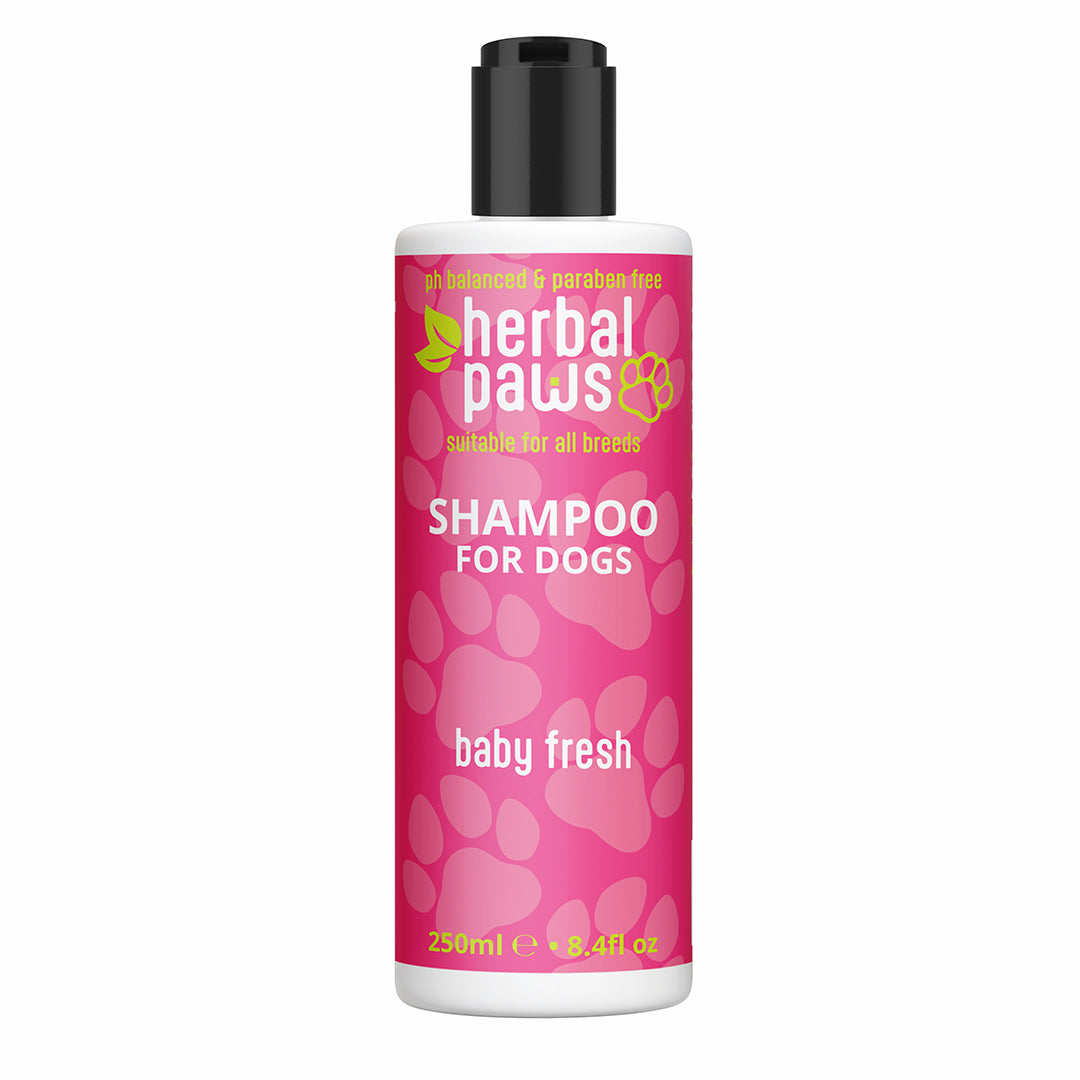 Dog Baby Fresh Shampoo