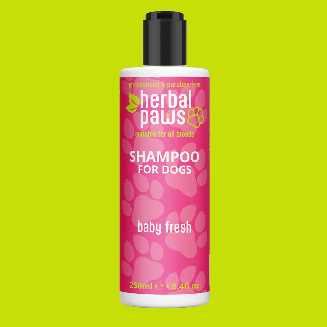 Dog Baby Fresh Shampoo