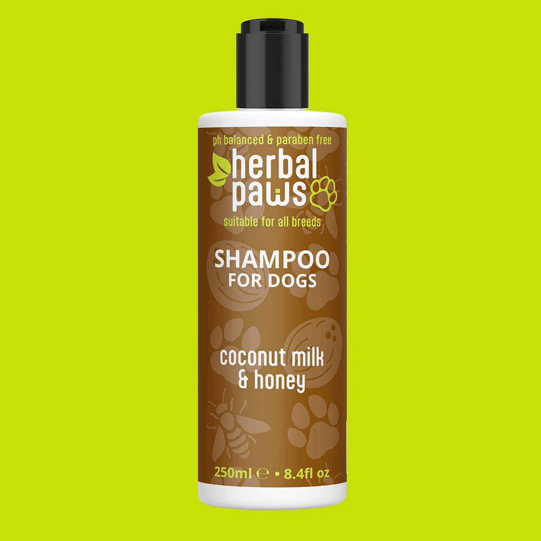 Dog Coconut, Milk & Honey Shampoo