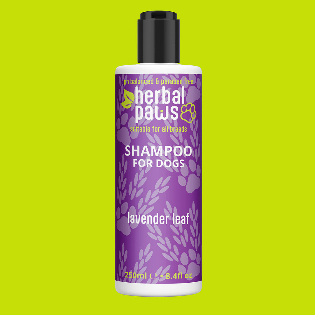 Dog Lavender Leaf Shampoo