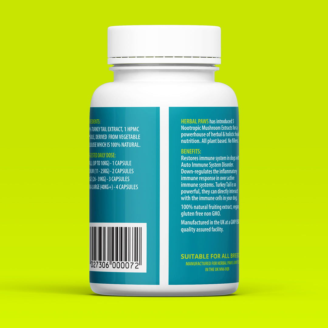 Dog Turkey Tail Mushroom Capsules