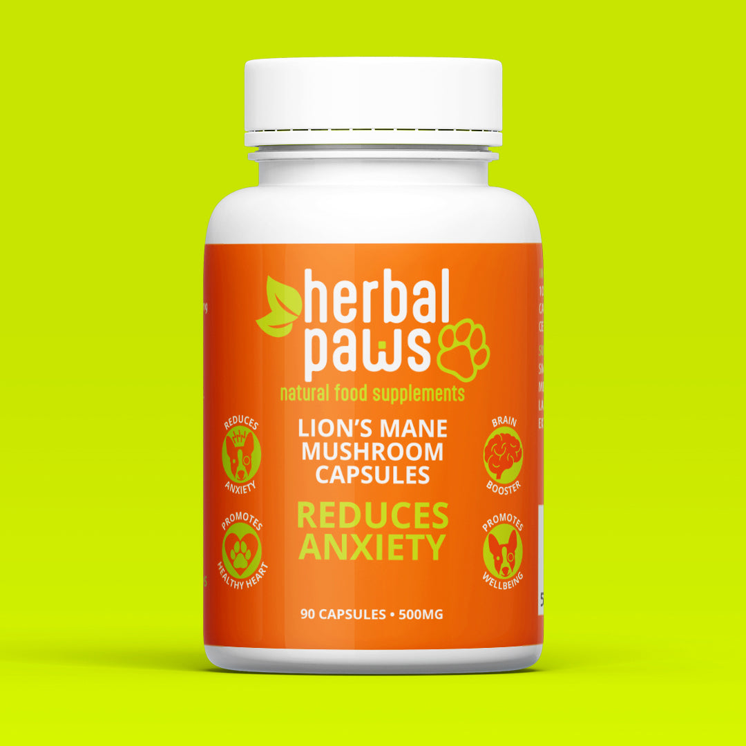 Dog Lion's Mane Mushroom Capsules