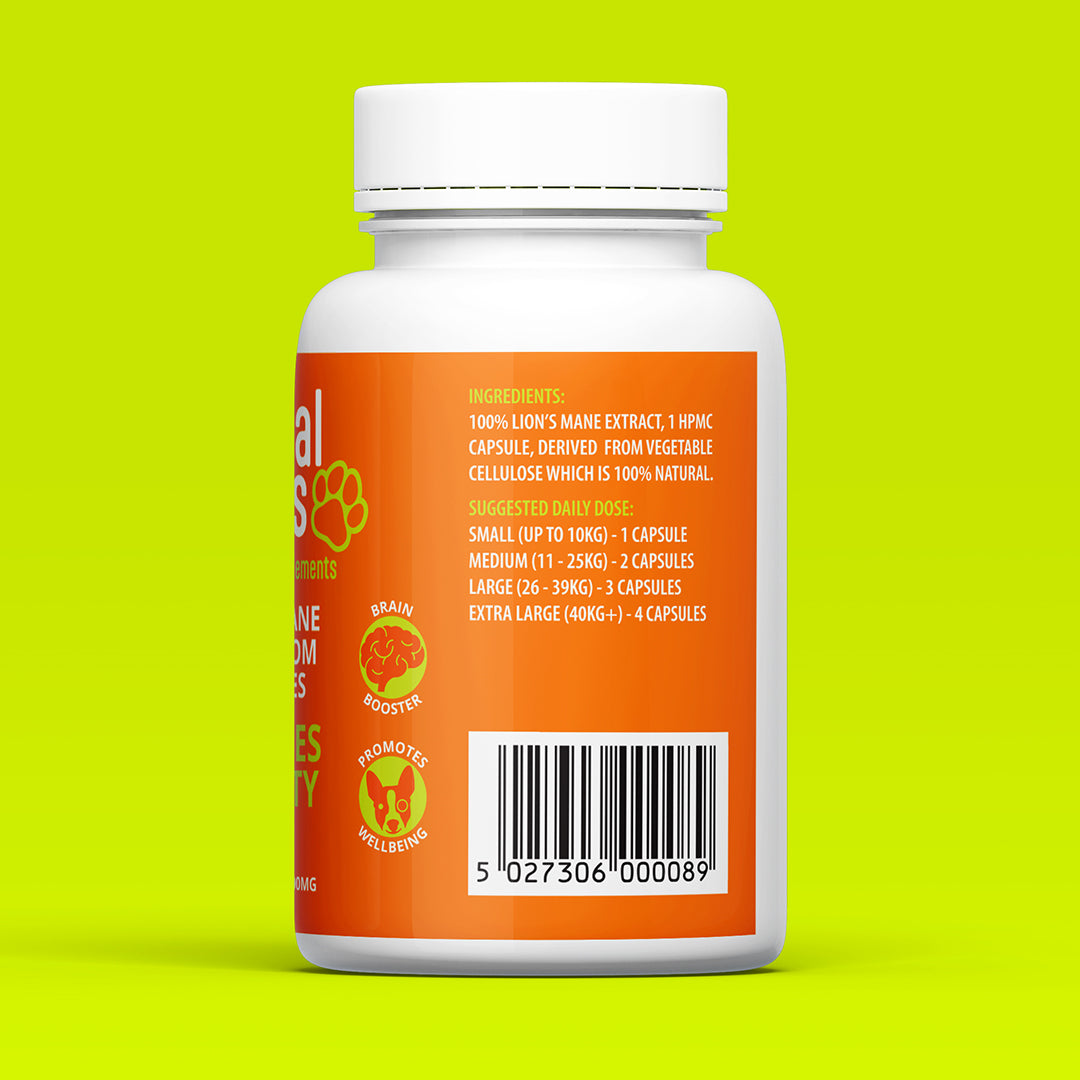 Dog Lion's Mane Mushroom Capsules