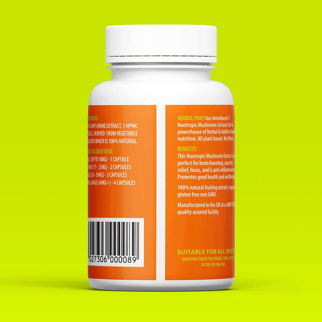 Dog Lion's Mane Mushroom Capsules