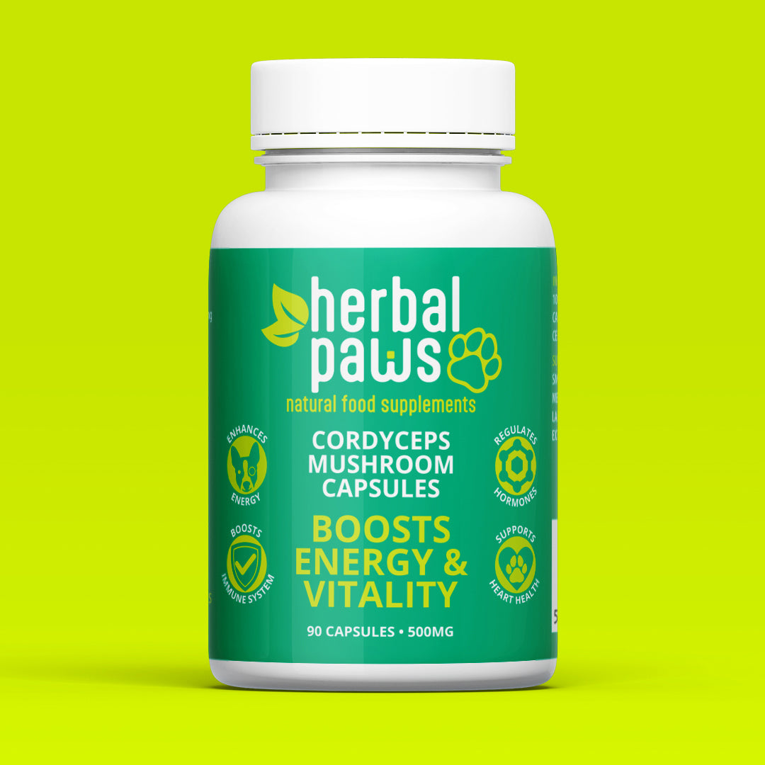 Dog Cordyceps Mushroom Capsules