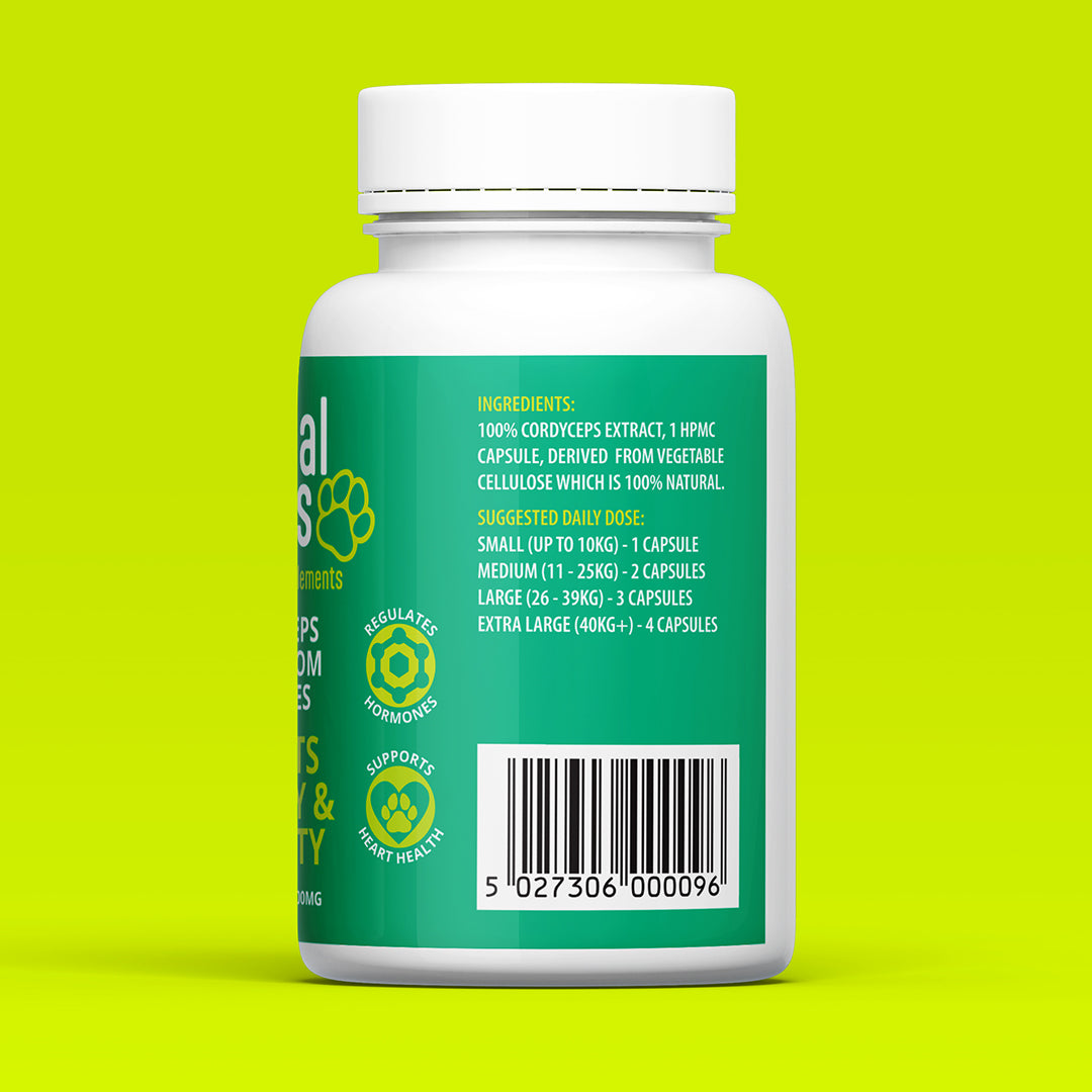 Dog Cordyceps Mushroom Capsules