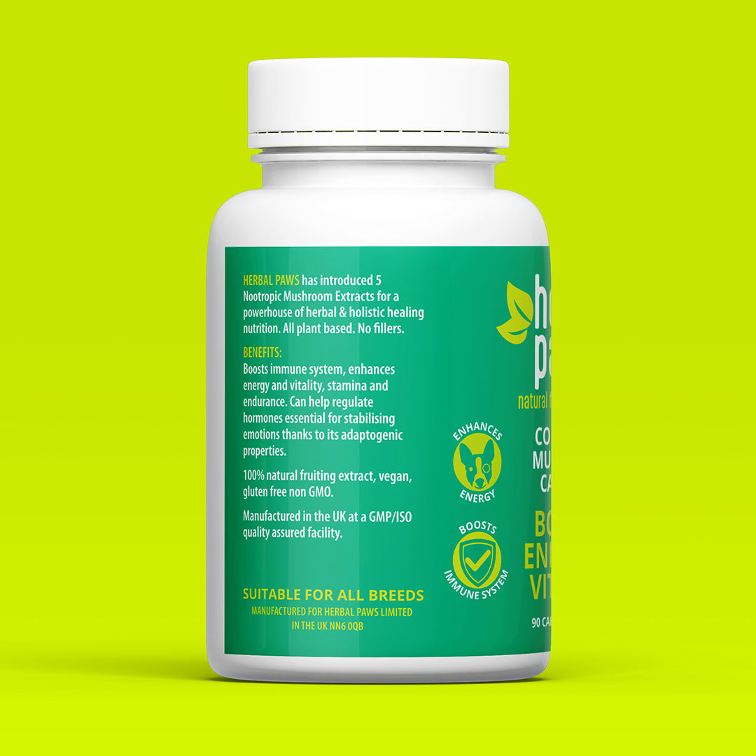 Dog Cordyceps Mushroom Capsules