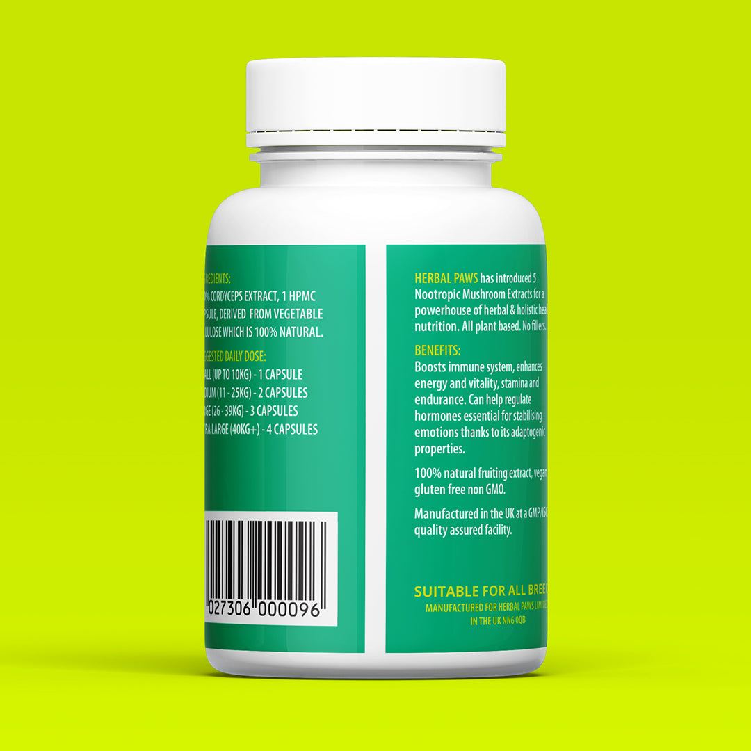 Dog Cordyceps Mushroom Capsules