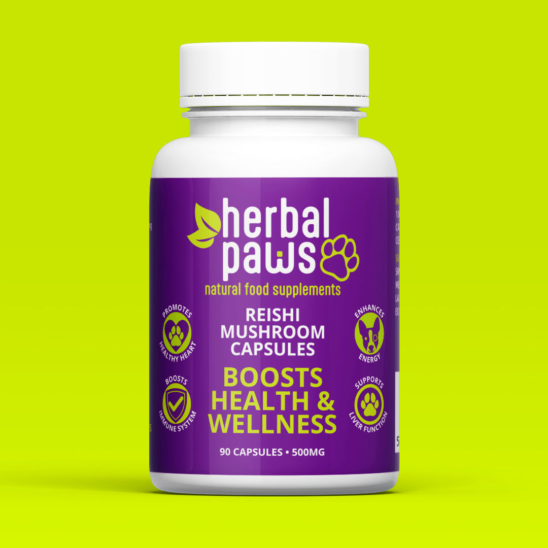 Dog Reishi Mushroom Capsules