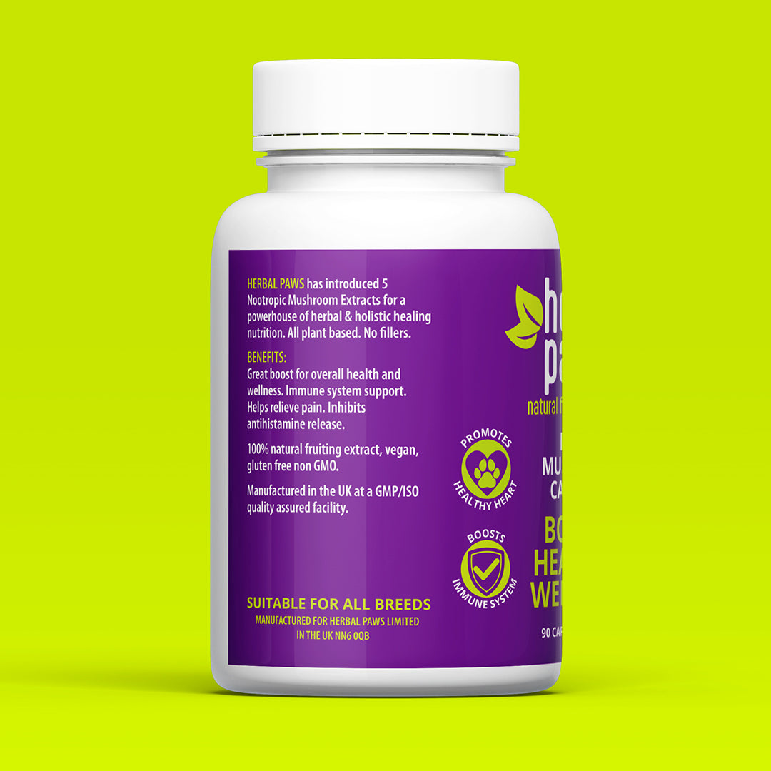 Dog Reishi Mushroom Capsules