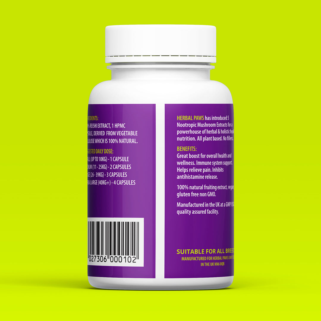 Dog Reishi Mushroom Capsules