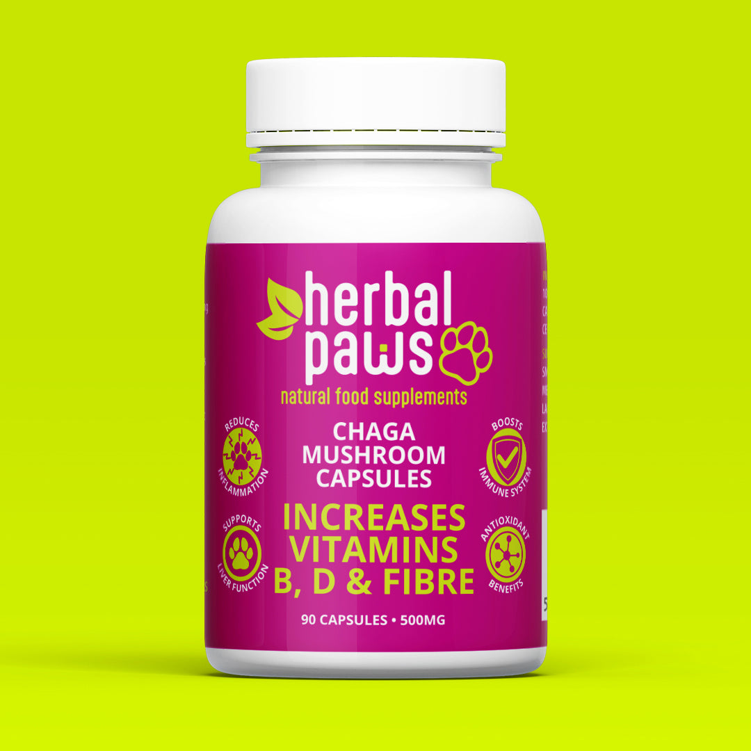 Dog Chaga Mushroom Capsules
