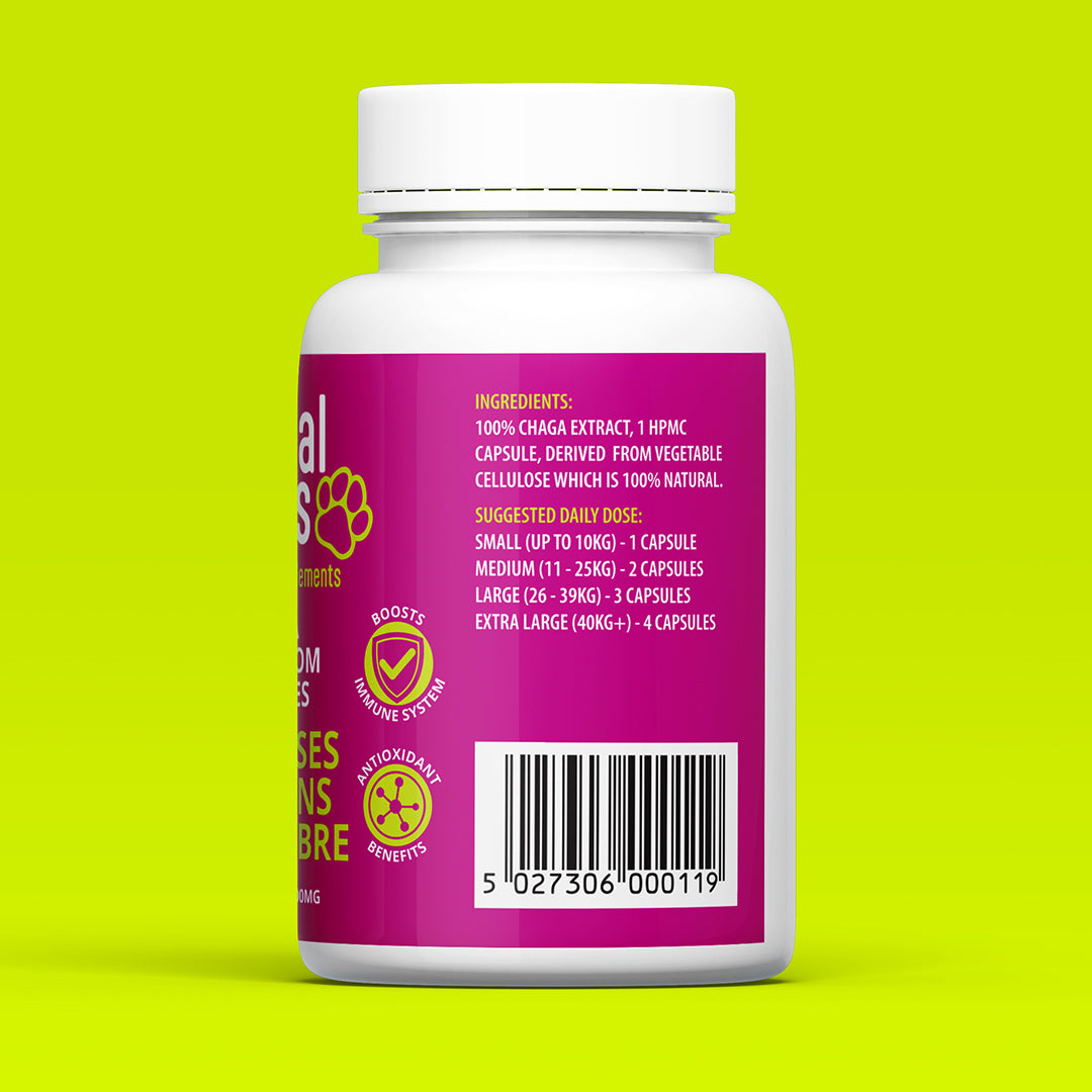 Dog Chaga Mushroom Capsules
