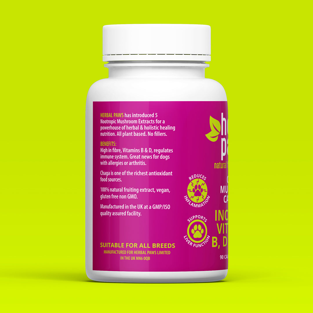 Dog Chaga Mushroom Capsules