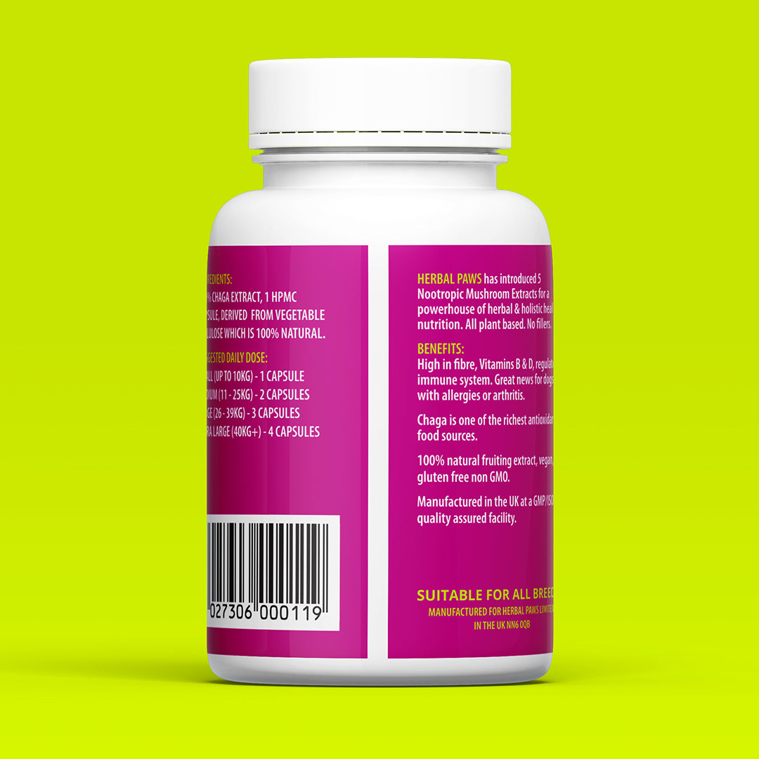 Dog Chaga Mushroom Capsules