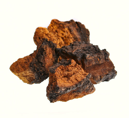 Chaga mushroom for dogs, natural fibre and vitamins supplement by Herbal Paws