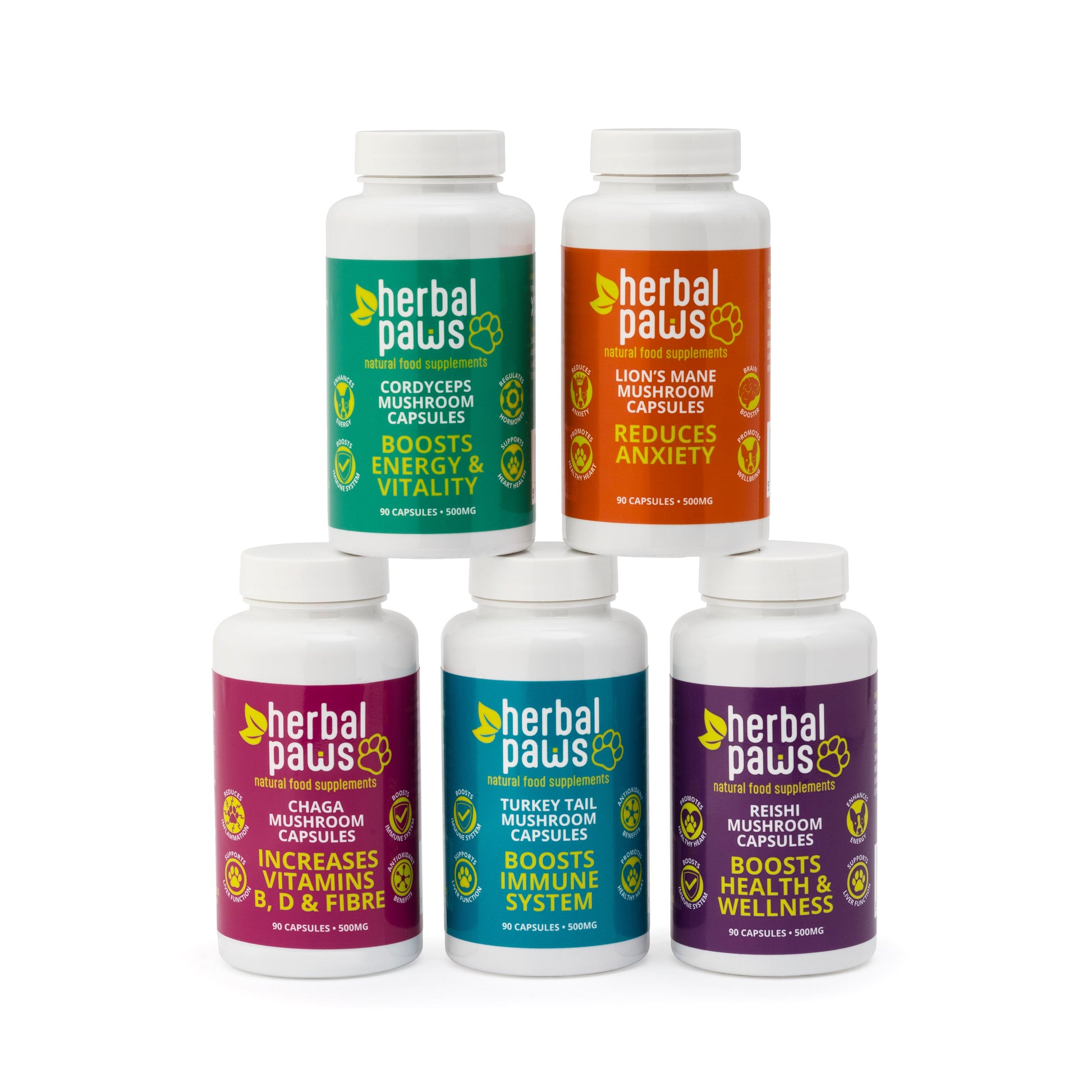 Functional mushrooms for dogs UK, full Herbal Paws mushroom capsule range including Chaga, Lion's Mane, Cordyceps, Turkey Tail and Reishi