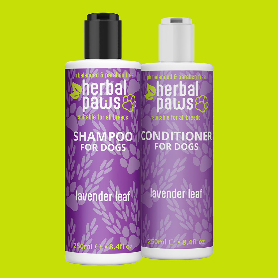 Dog Lavender Leaf Shampoo & Conditioner Combo