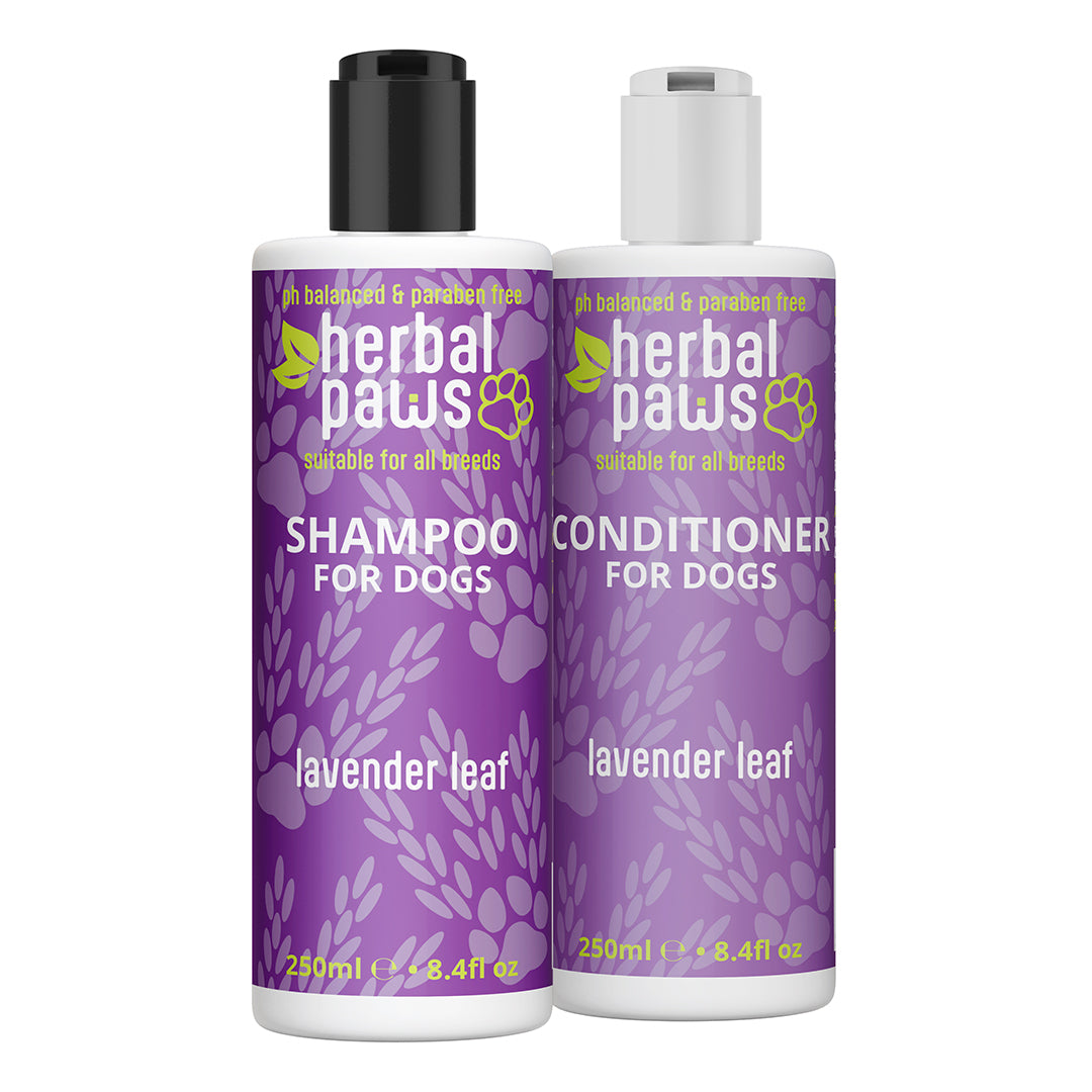 Dog Lavender Leaf Shampoo & Conditioner Combo