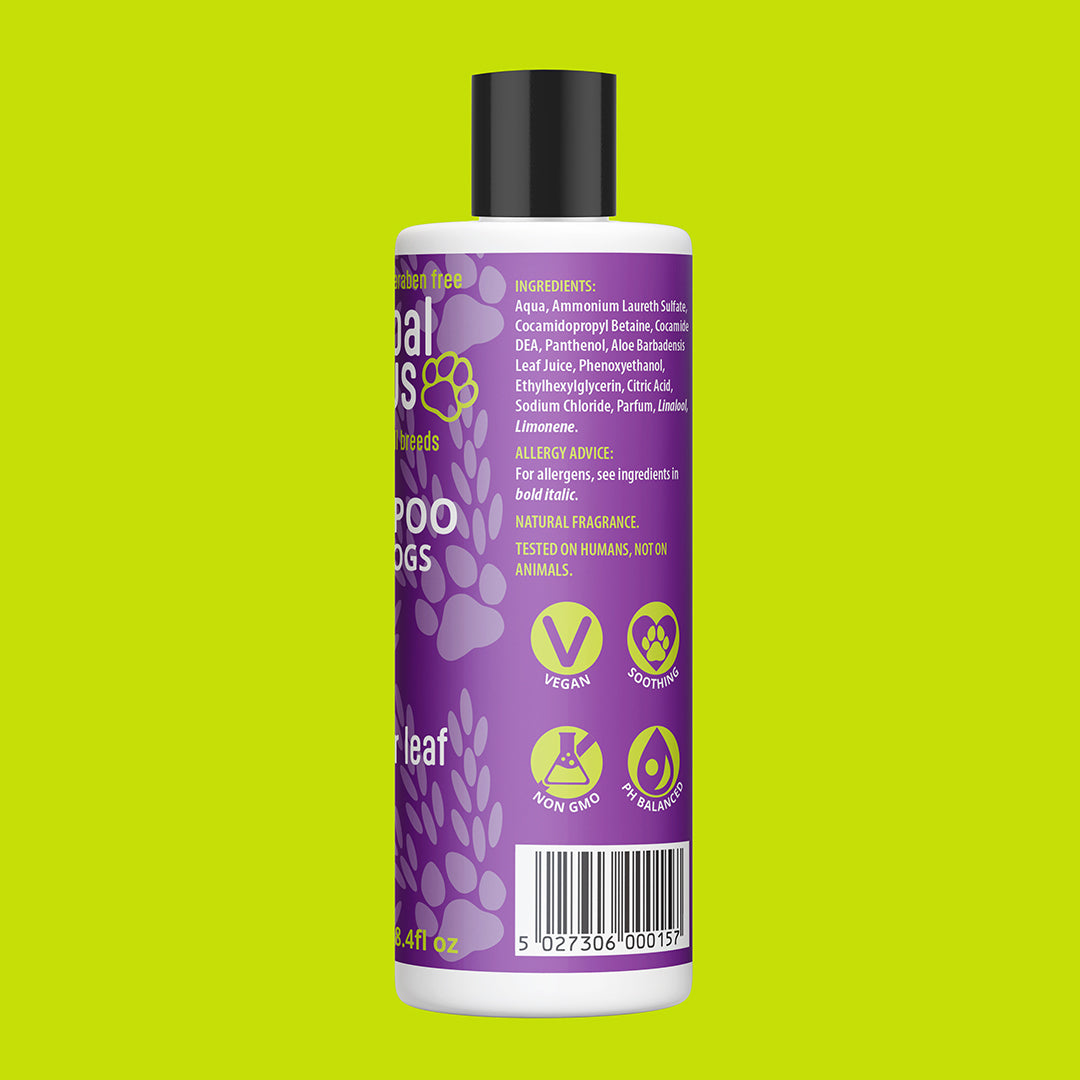 Lavender Leaf Shampoo