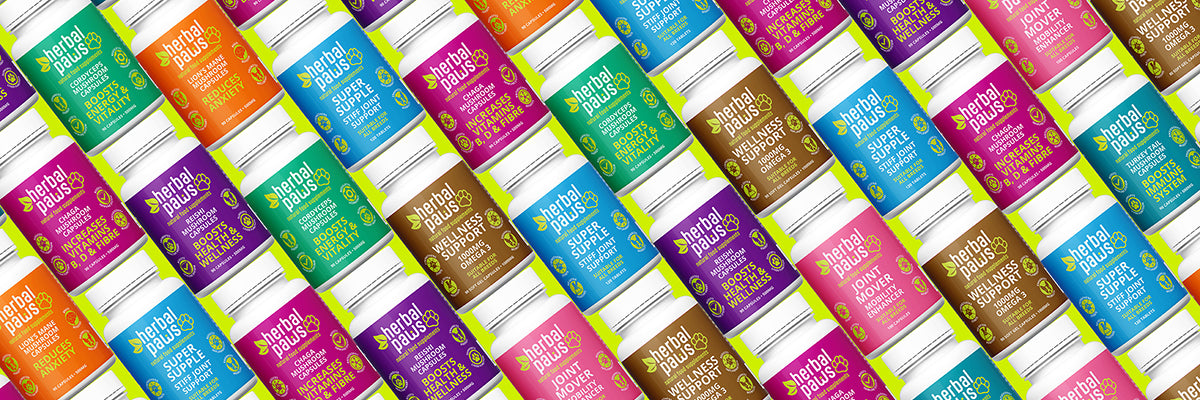 Functional mushrooms for dogs UK, adaptogenic mushroom capsules by Herbal Paws