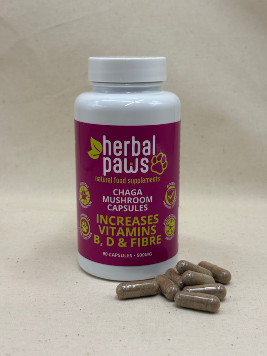 A white bottle of Herbal Paws Chaga Mushroom Capsules with a magenta label, shown on a beige textured background with several brown capsules scattered in front.