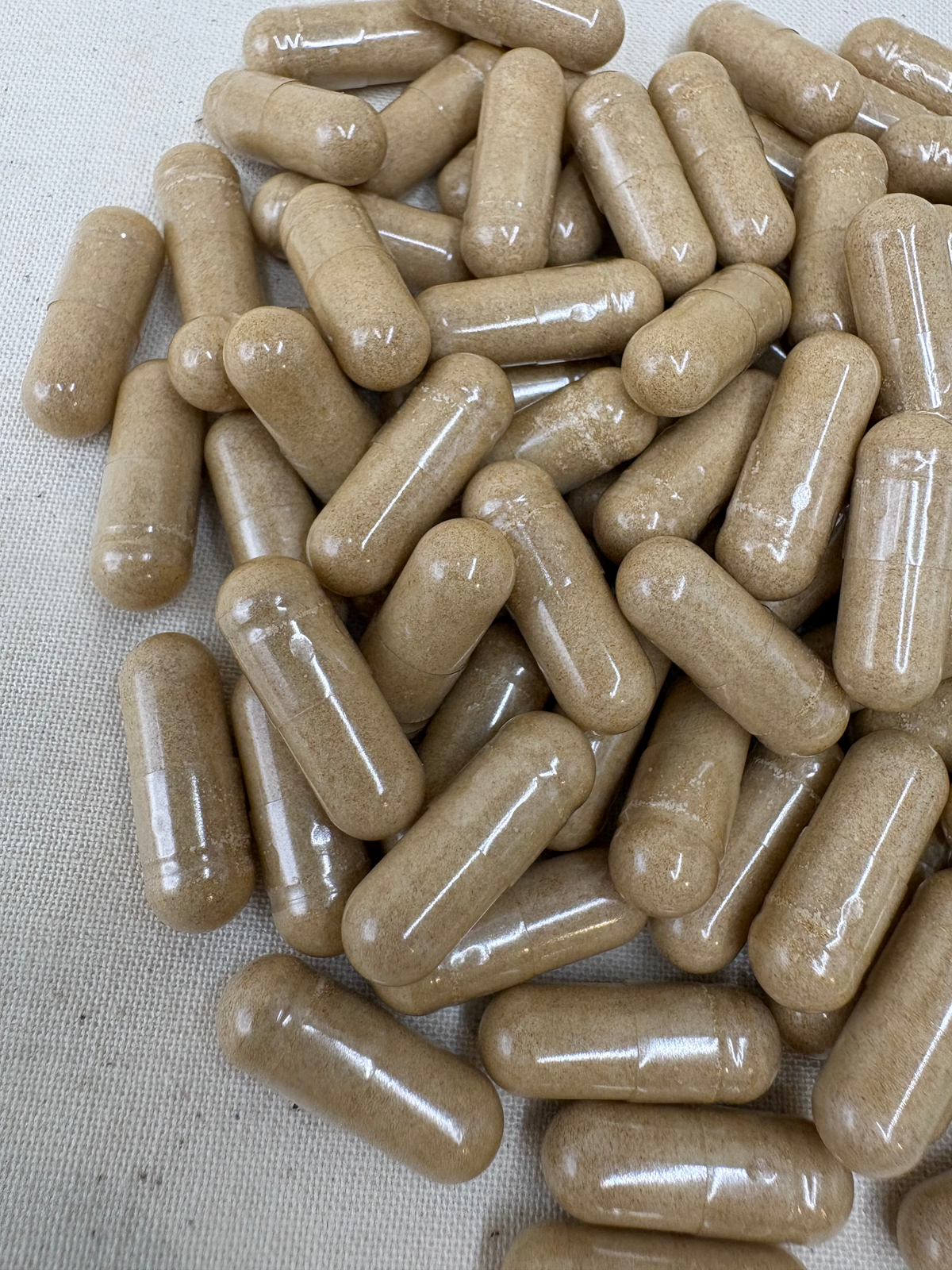 A pile of tan herbal supplement capsules on a textured beige fabric representing cordyceps mushroom powder in clear capsules made for dogs