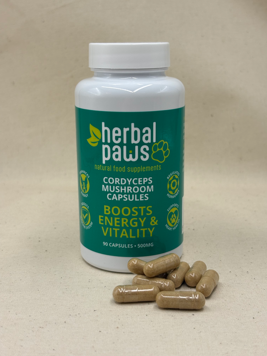 a white bottle of labelled cordyceps mushroom capsules for dogs with a few capsules placed outside of the bottle, on a beige surface to showcase the natural supplements by herbal paws