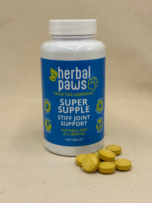 bottle labelled by herbal paws titling super supple stiff joint support for dogs containing yellow capsules containing green lipped mussel supplement for dogs