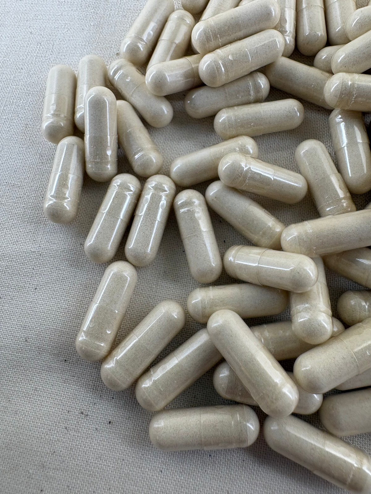 lions mane capsules for dogs - a light beige mushroom powder - natural supplement