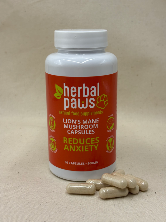 a bottle showing an orange label describing contents of lions mane mushroom capsules for dogs to help reduce anxiety, with some beige mushroom capsules place outside of the bottle to represent the contents. By herbal Paws uk