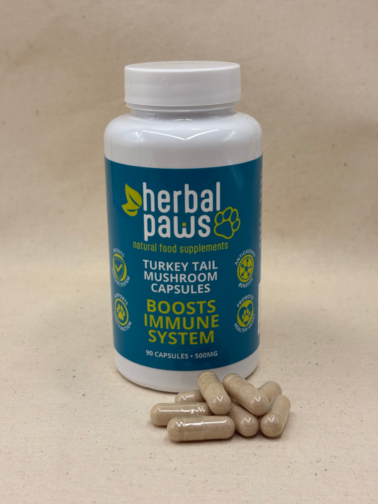 A white bottle of Herbal Paws Turkey Tail Mushroom Capsules supplement with a blue label, shown on a beige surface with several beige capsules placed in front.